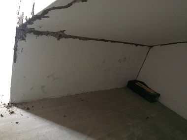 南海白蚁预防所怎么知道家中有无白蚁？