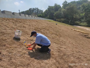 和顺专业灭鼠机构水库堤坝老鼠怎么预防