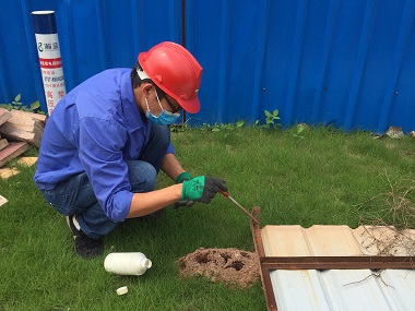 里水红火蚁防治机构灭除红火蚁的方法有哪些